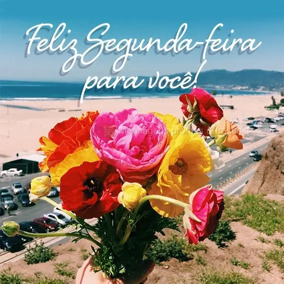 Feliz Segunda-feira para você!