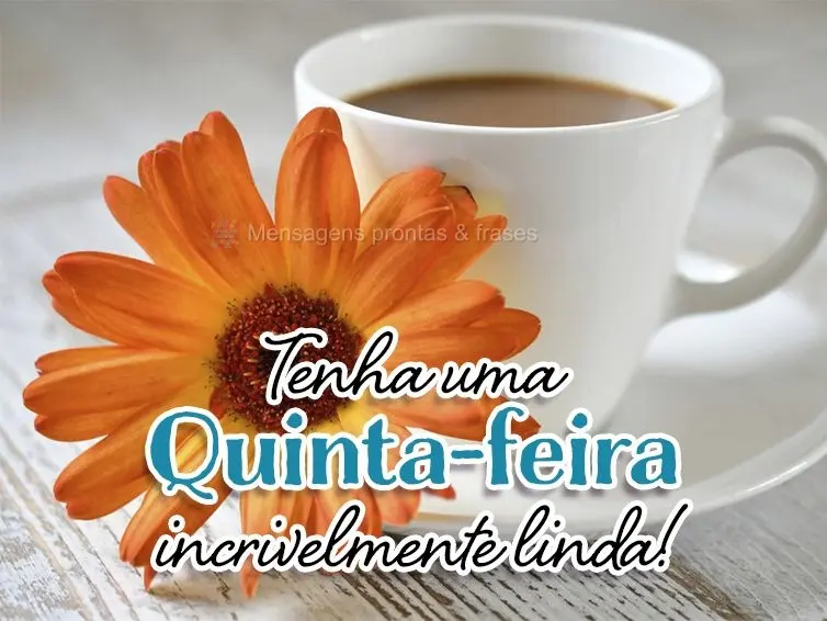 Tenha uma Quinta-feira incrivelmente linda!