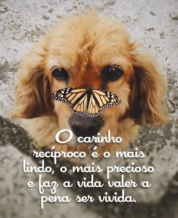 O carinho recíproco é o mais lindo, o mais precioso e faz a vida valer a pena ser vivida.