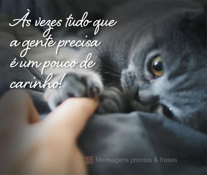 As vezes tudo que a gente precisa é um pouco de carinho!