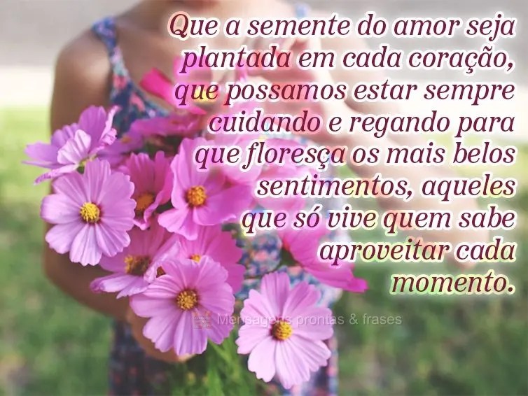 Que a semente do amor seja plantada em cada coração, que possamos estar sempre cuidando e regando para que floresça os mais belos sentimentos, aqueles...
