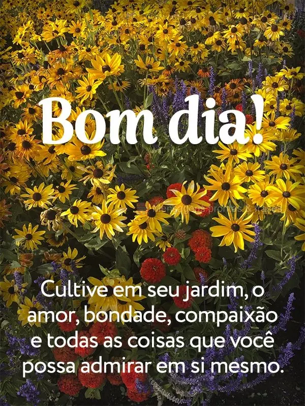 Cultive em seu jardim o amor, a bondade, a compaixão e todas as coisas que você possa admirar em si mesmo. Bom dia!