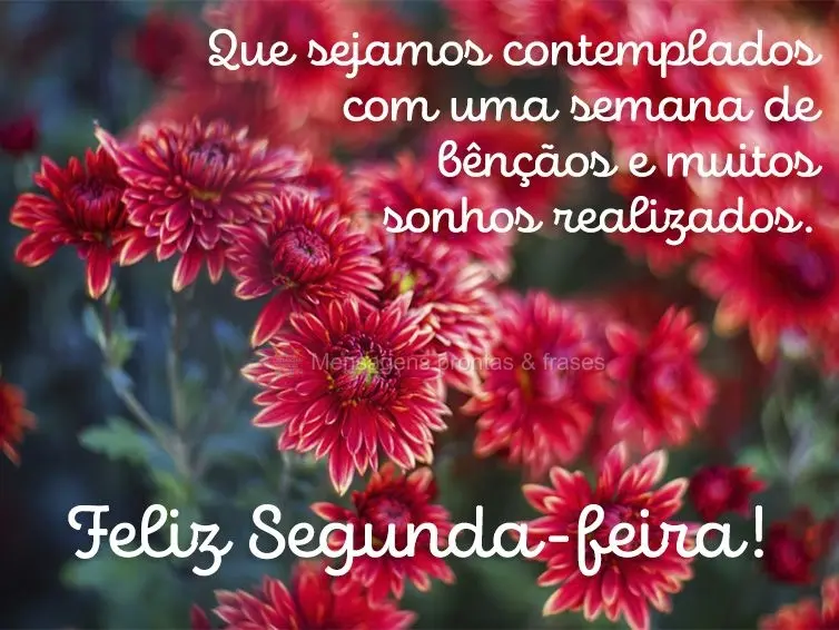 Que sejamos contemplados com uma semana de bênçãos e muitos sonhos realizados. Feliz Segunda-feira!
