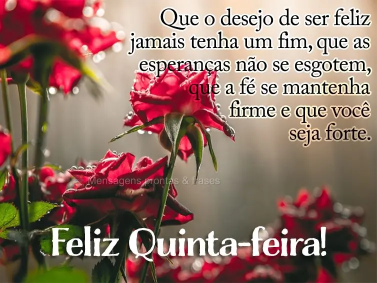 Que o desejo de ser feliz jamais tenha um fim, que as esperanças não se esgotem, que a fé se mantenha firme e que você seja forte. Feliz Quinta-feira...