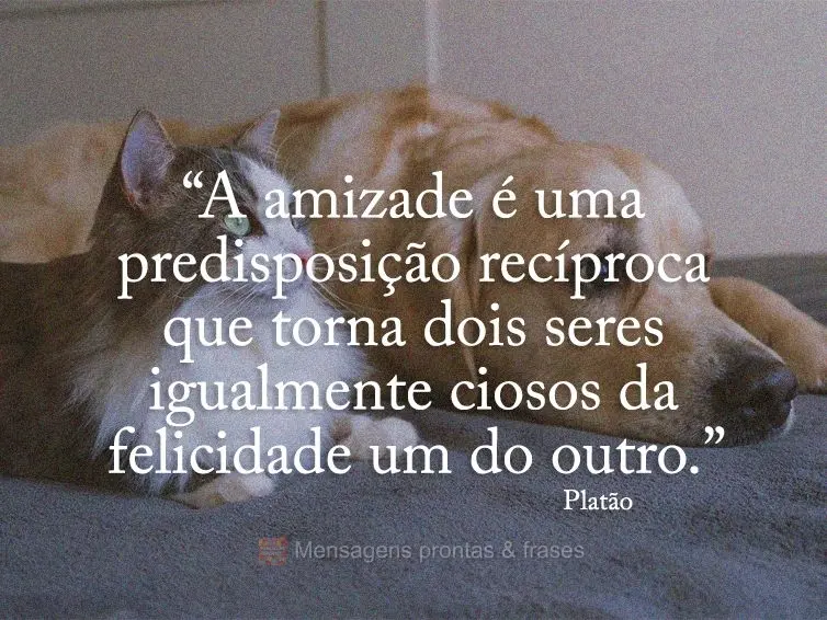 “A amizade é uma predisposição recíproca que torna dois seres igualmente ciosos da felicidade um do outro.” Platão