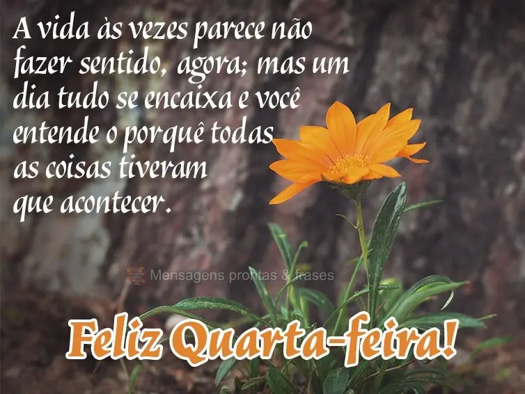 A vida as vezes parece não fazer sentido agora. Mas um dia tudo se encaixa e você entende o porquê todas as coisas tiveram que acontecer. Feliz Quarta...