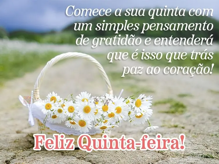 Comece a sua quinta com um simples pensamento de gratidão e entenderá que é isso que traz paz ao coração! Feliz Quinta-feira!