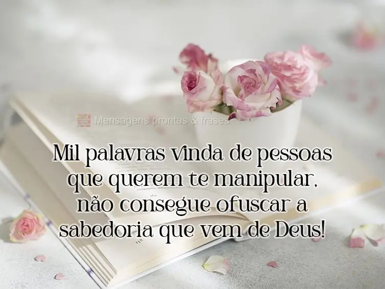 Mil palavras vindas de pessoas que querem te manipular não conseguem ofuscar a sabedoria que vem de Deus!