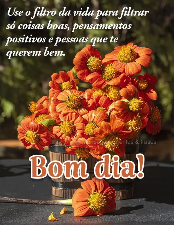 Use o filtro da vida para filtrar só coisas boas, pensamentos positivos e pessoas que te querem bem. Bom dia!