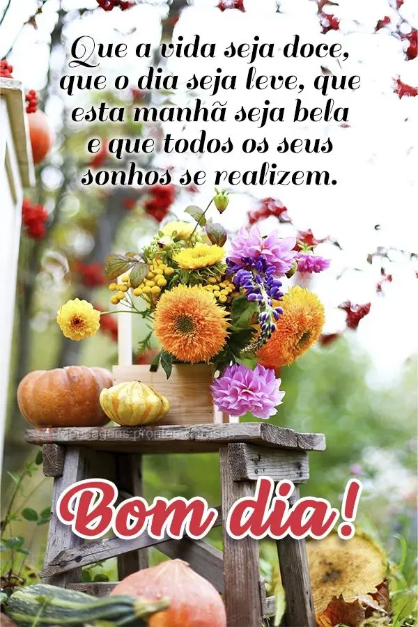Que a vida seja doce, que o dia seja leve, que esta manhã seja bela e que todos os seus sonhos se realizem Bom dia!