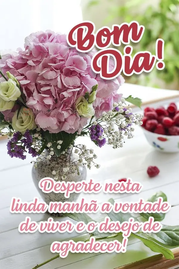 Desperte nesta linda manhã a vontade de viver e o desejo de agradecer! Bom dia!