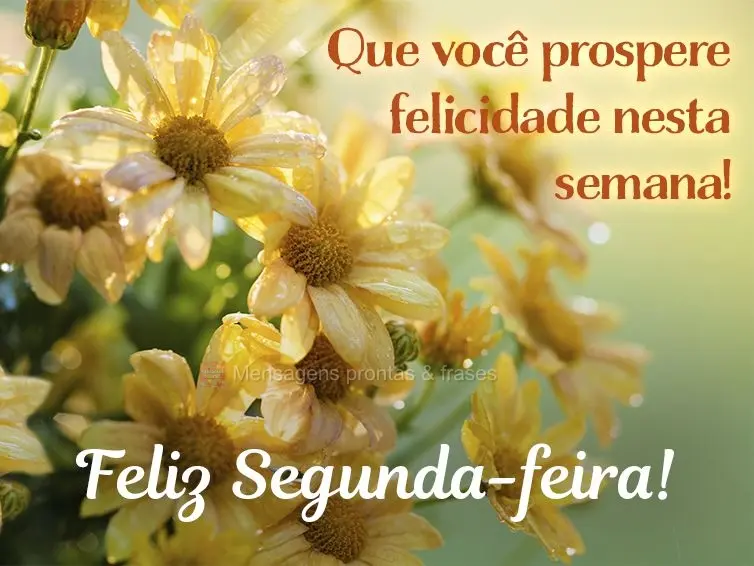 Que você prospere felicidade nesta semana! Feliz Segunda-feira!
