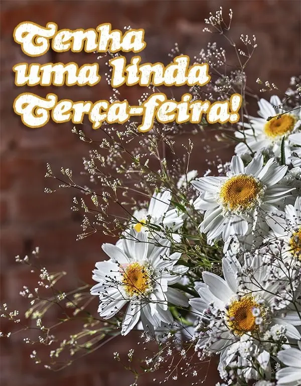 Tenha uma linda terça-feira!