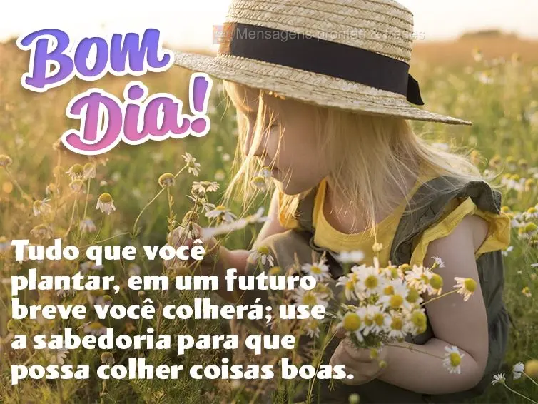 Tudo que você plantar, em um futuro breve você colherá; use a sabedoria para que possa colher coisas boas. Bom dia!