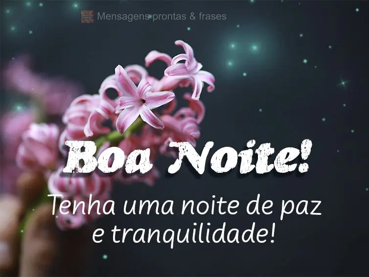 Tenha uma noite de paz e tranquilidade! Boa noite!