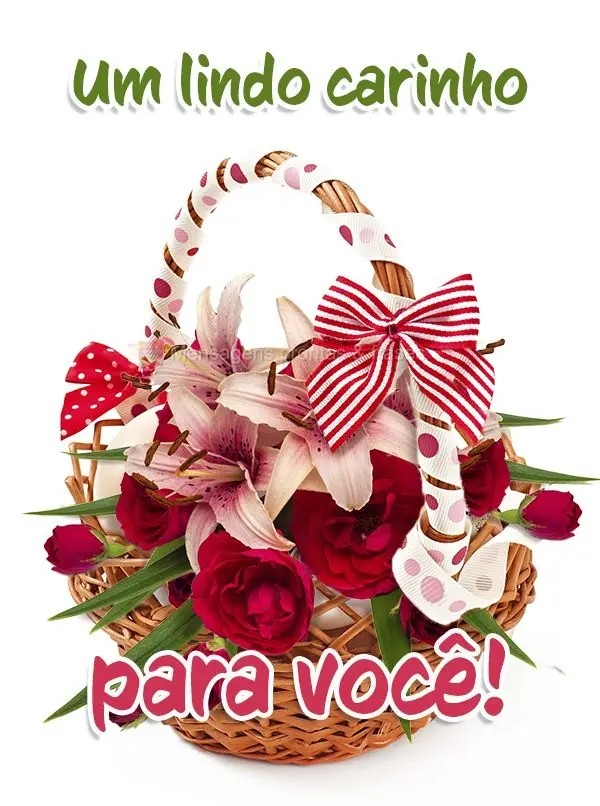 Um lindo carinho para você!