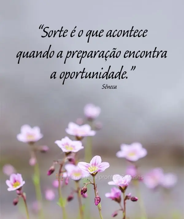 “Sorte é o que acontece quando a preparação encontra a oportunidade.” Sêneca