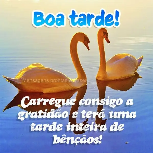 Carregue consigo a gratidão e terá uma tarde inteira de bênçãos! Boa tarde!