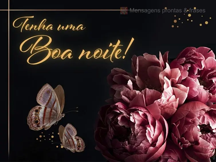 Tenha uma boa noite!