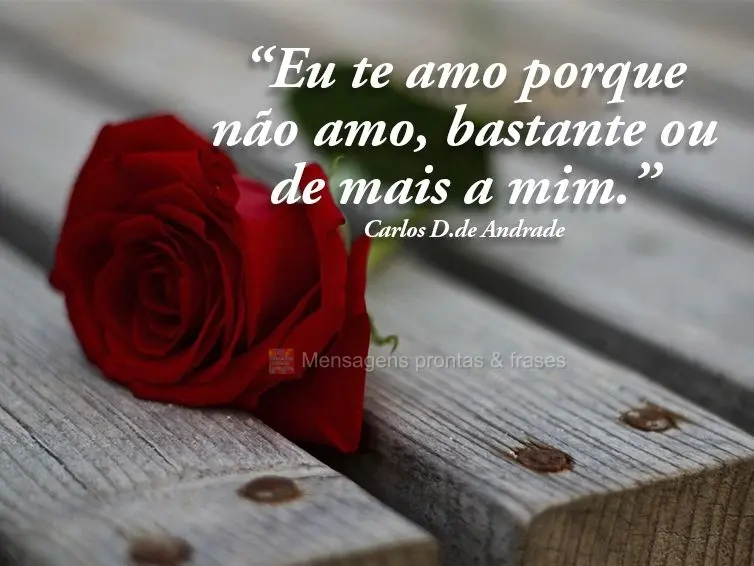 “Eu te amo porque não amo bastante ou de mais a mim.” Carlos Drummond de Andrade