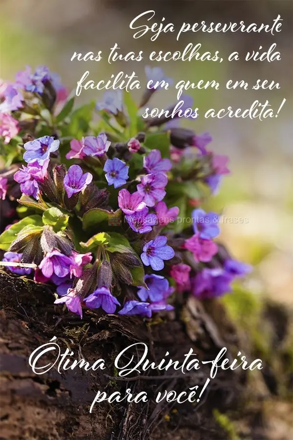 Seja perseverante nas tuas escolhas. A vida facilita para quem em seu sonhos acredita! Ótima Quinta-feira para você!