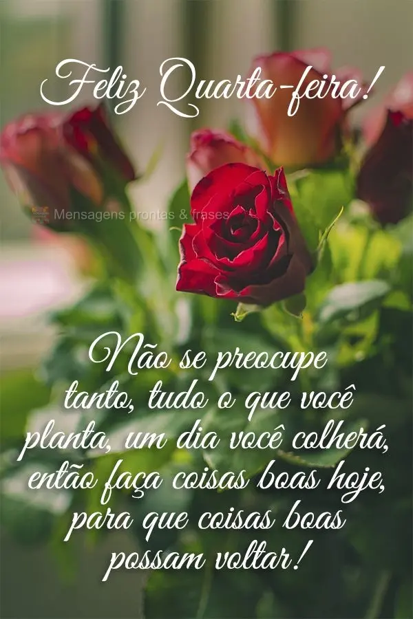 Não se preocupe tanto, tudo o que você planta, um dia você colherá, então faça coisas boas hoje, para que coisas boas possam voltar! Feliz Quarta-f...
