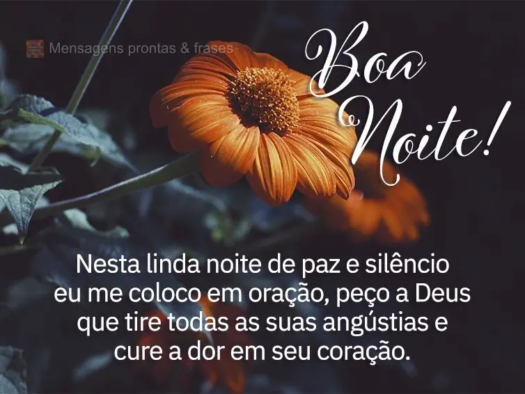Nesta linda noite de paz e silêncio eu me coloco em oração, peço a Deus que tire todas as suas angústias e cure a dor em seu coração. Boa noite!...