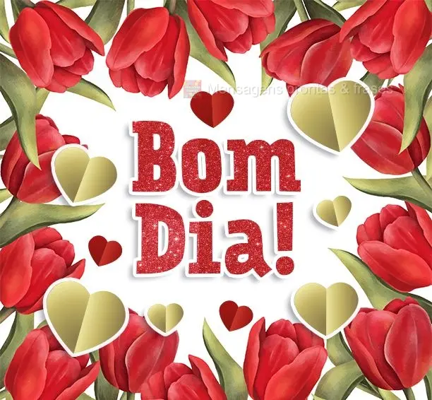 Bom dia!