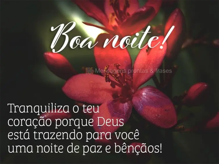 Tranquiliza o teu coração porque Deus está trazendo para você uma noite de paz e bênçãos! Boa noite!