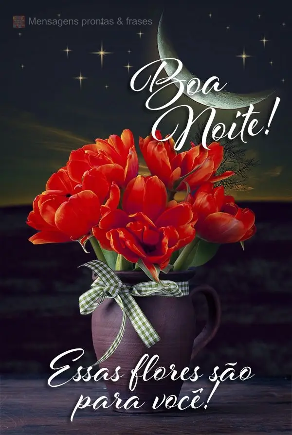 Essas flores são para você! Boa noite! 