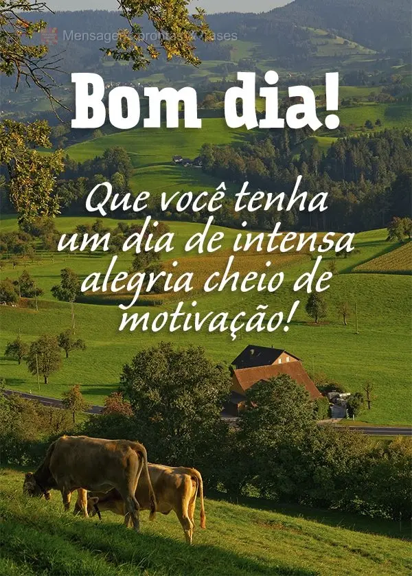 Que você tenha um dia de intensa alegria, cheio de motivação! Bom dia! 