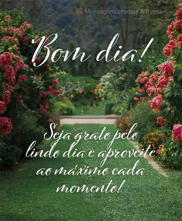 Seja grato pelo lindo dia e aproveite ao máximo cada momento! Bom dia! 