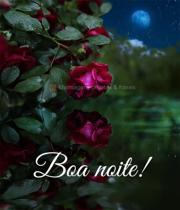 Boa noite!