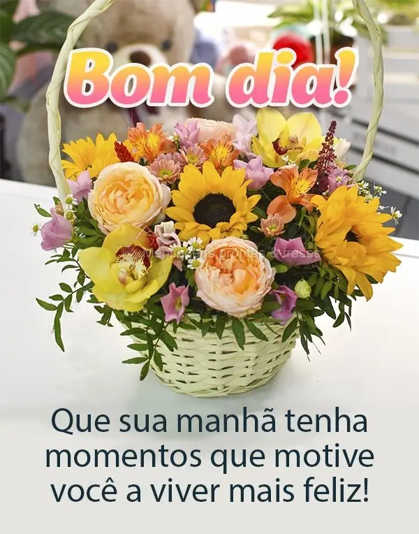 Que sua manhã tenha momentos que motive você a viver mais feliz! Bom dia! 