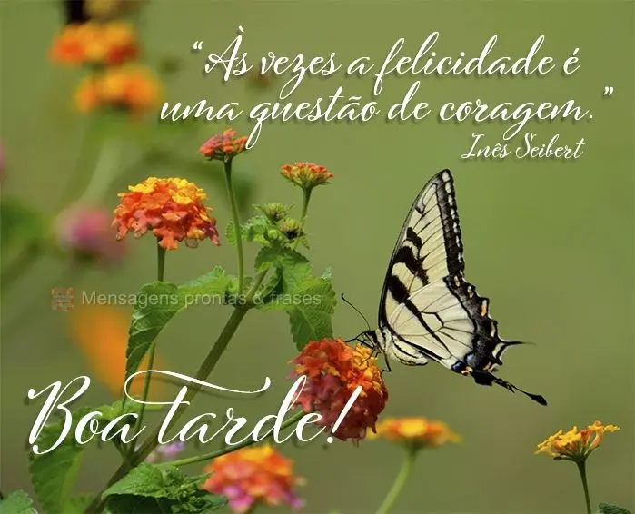 “Às vezes a felicidade é uma questão de coragem.” Boa tarde! Inês Seibert