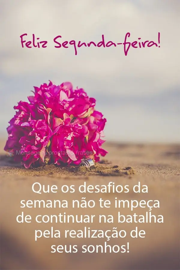 Que os desafios da semana não te impeçam de continuar na batalha pela realização de seus sonhos! Feliz Segunda-feira! 