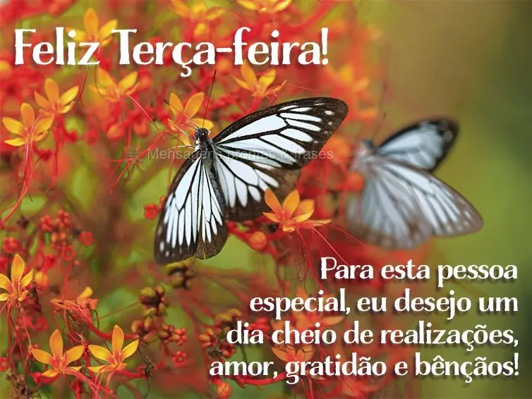 Para esta pessoa especial eu desejo um dia cheio de realizações, amor, gratidão e bênçãos! Feliz Terça-feira!