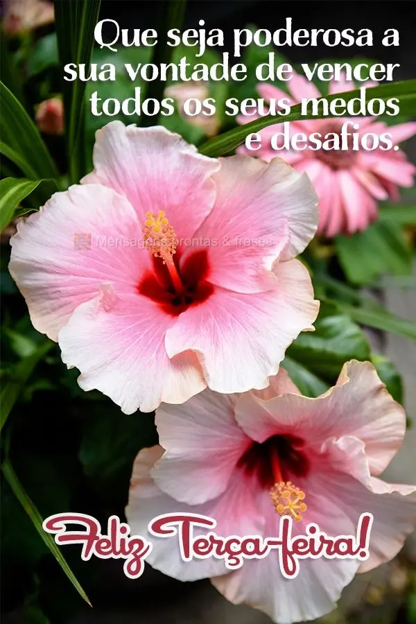 Que seja poderosa a sua vontade de vencer todos os seus medos e desafios. Feliz Terça-feira! 