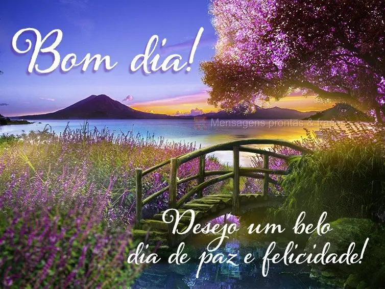 Desejo um belo dia de paz e felicidade! Bom dia! 