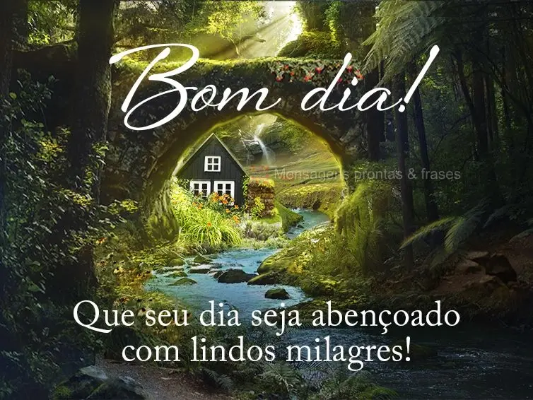 Que seu dia seja abençoado com lindos milagres! Bom dia! 