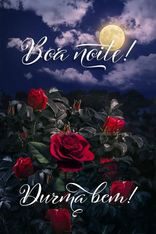 Boa noite! Durma bem!