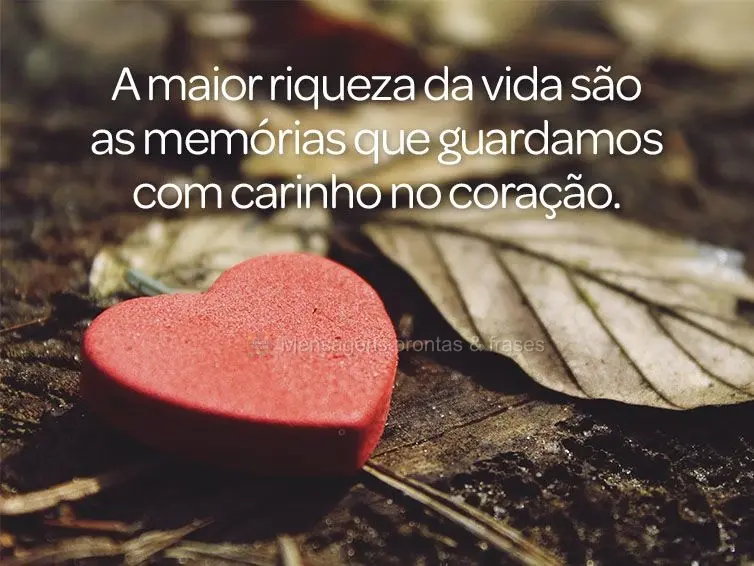 A maior riqueza da vida são as memórias que guardamos com carinho no coração.