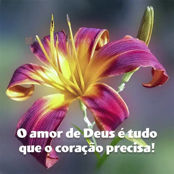 O amor de Deus é tudo que o coração precisa!