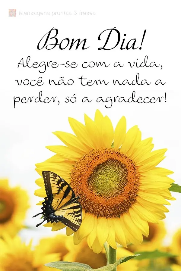Alegre-se com a vida, você não tem nada a perder, só a agradecer! Bom dia! 