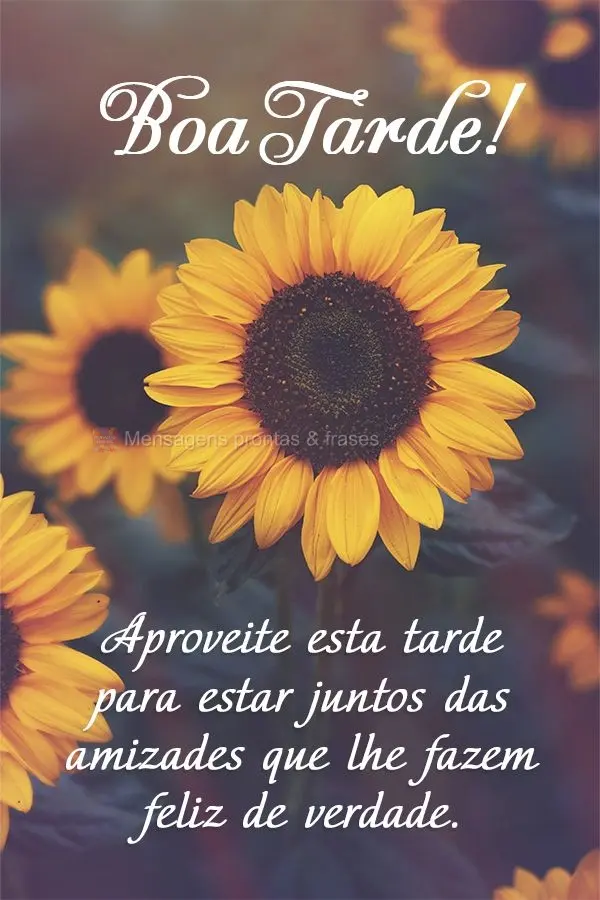 Aproveite esta linda tarde para estar junto das melhores amizades! Boa tarde! 