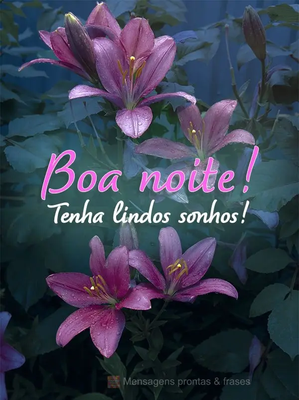 Tenha lindos sonhos! Boa noite! 