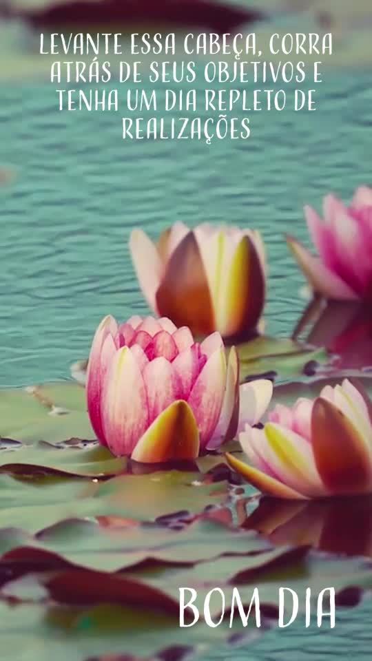 Levante essa cabeça, corra atrás de seus objetivos e tenha um dia repleto de realizações Bom dia