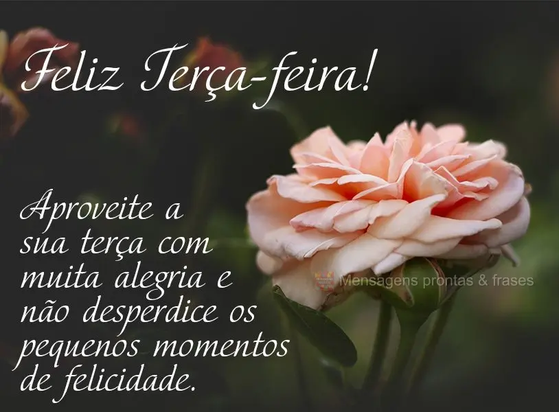 Aproveite a sua terça com muita alegria e não desperdice os pequenos momentos de felicidade. Feliz Terça-feira! 