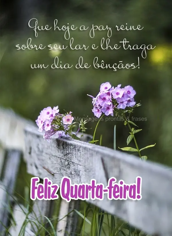 Que hoje a paz reine sobre seu lar e lhe traga um dia de bênçãos! Feliz Quarta-feira!