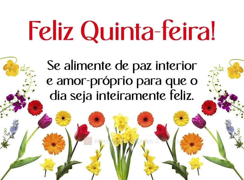 Se alimente de paz interior e amor-próprio para que o dia seja inteiramente feliz. Feliz Quinta-feira!